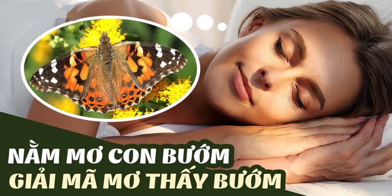 Nằm mơ thấy bướm gợi ý con số may mắn