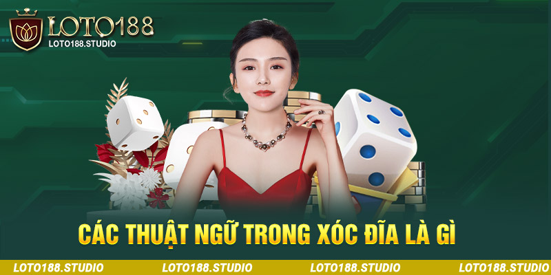 Các thuật ngữ sử dụng trong xóc đĩa là gì?