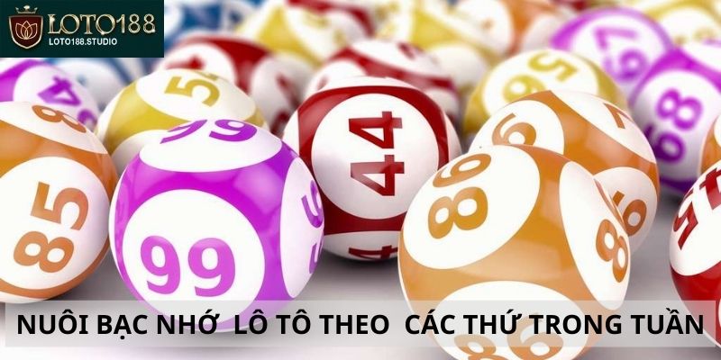 Nuôi lô bạc nhớ theo các thứ trong tuần