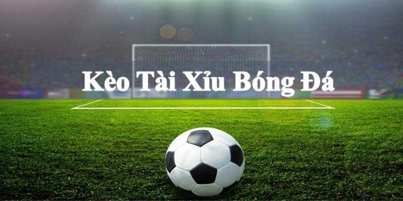 Một vài lý do khiến bạn luôn thua khi chơi tài xỉu 2 trái